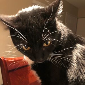 Meet your Posher, Derrick